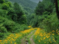 -驼梁风景区