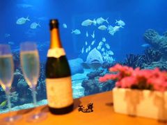-海棠湾洲际-涛·海底餐厅·美人鱼·自助餐·海底隧道