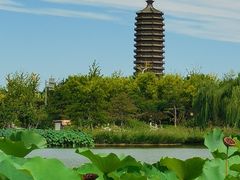 -西海子公园