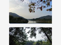 -东南花都花博园