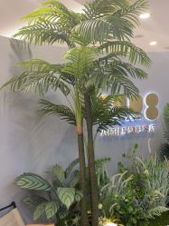 -八佰伴8008星级形象店