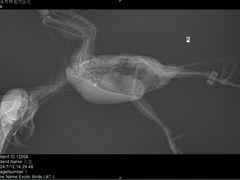-雨林宠物医院 非犬猫异宠专科