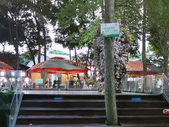 -二荆条·蜀鲜汇城市森林火锅