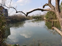-木守西溪溪隐餐厅