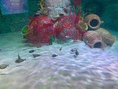 -沈阳海洋探索中心