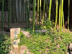 -趵突泉景区