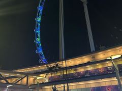 -新加坡摩天观景轮