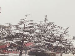 -北京市劳动人民文化宫(太庙)