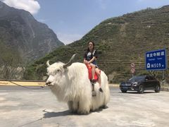-叠溪松坪沟景区