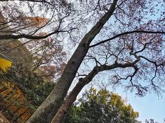 -虞山风景区