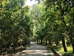 -灵谷景区
