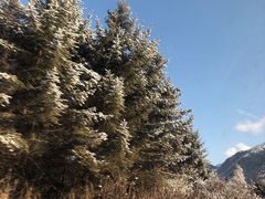 -太子岭滑雪场