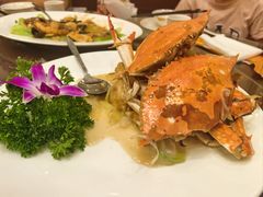 -蓬莱春(芝罘店)
