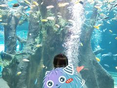 -合肥海洋世界