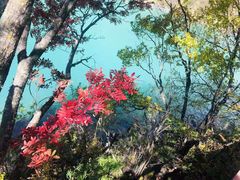 -叠溪松坪沟景区