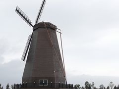 -漩门湾国家湿地公园