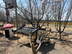 -1982农场