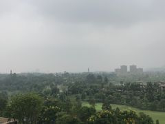 -成都蒲江花样年福朋喜来登度假酒店·宜客乐西餐厅