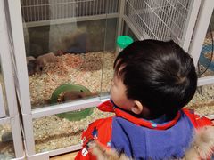 -狗道宠物(常熟印象城店)