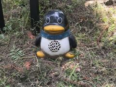 -巢湖姥山岛