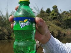 -艾溪湖湿地公园