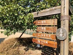 -乌村