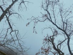 -黄山温泉国际旅游度假区