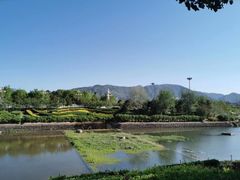 -门城湖公园
