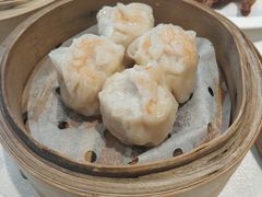 西苑虾饺皇-西苑半岛·中餐厅