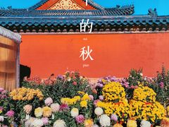 -天坛公园