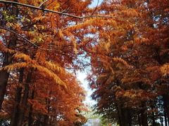 -茅山东方盐湖城景区