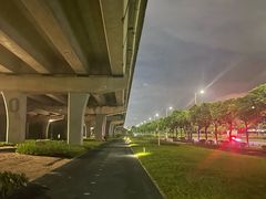 -宝安西湾红树林湿地公园