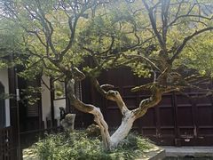 -水绘园