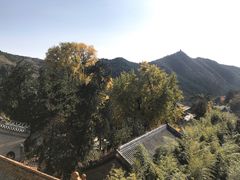 -潭柘寺景区