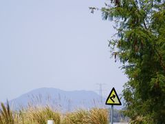 -芒洲湿地公园