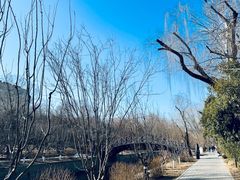 -元大都城垣遗址公园