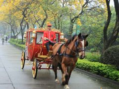 -佛山祈福仙湖酒店