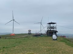 -龙里油画大草原旅游区