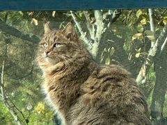 -青藏高原野生动物园