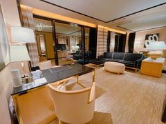 -拉斯维加斯永利酒店