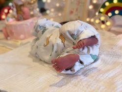 -海豚湾高端月子会所(黄浦店)