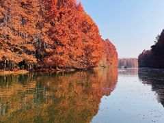 -上海海湾国家森林公园