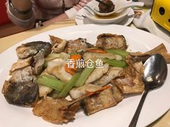 -新绿茵阁茶餐厅(皇朝东南亚花园分店)