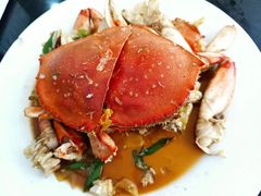-望海潮海鲜店 特色家常菜(在海一方店)