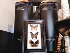 -black rainbow coffee