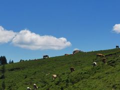 -灵山