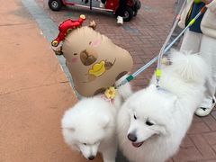 -厦门方特梦幻王国