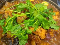麻辣鲶鱼煲-川香煲(茅台路店)