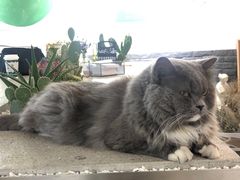 -小涵家蛋糕·咖啡(金山湖花园店)