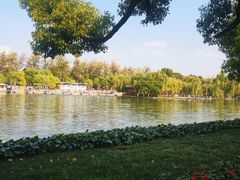 -翠湖公园